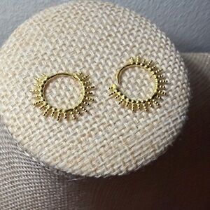 Modern Goldtone Mini Hoop Earrings